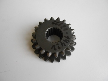 /6/6/66621-14422.Pignon.01